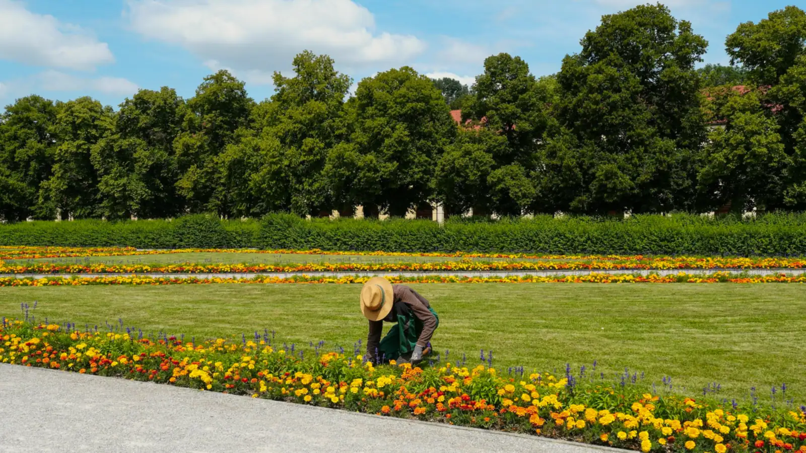 Jardinero trabajando en un parterre de una zona verde amplia