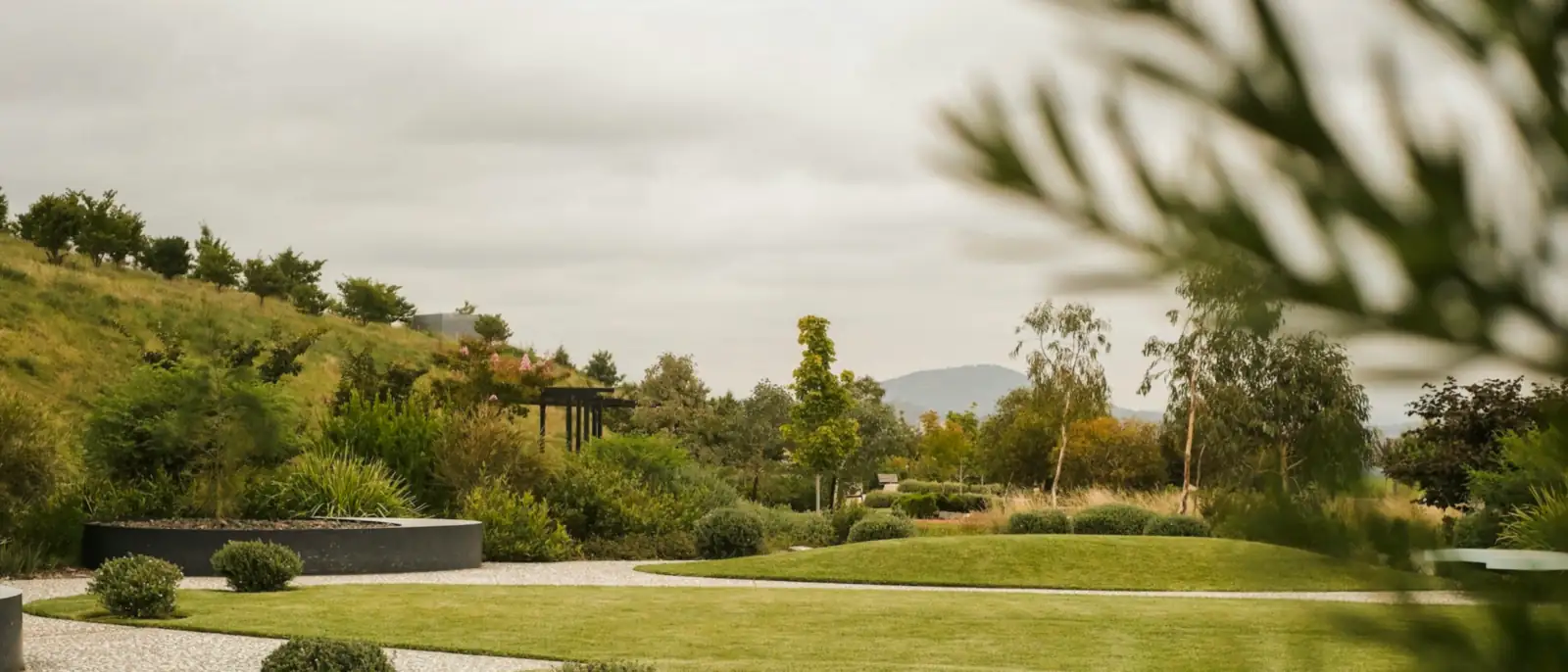 Diseño y creación de jardines en Pamplona