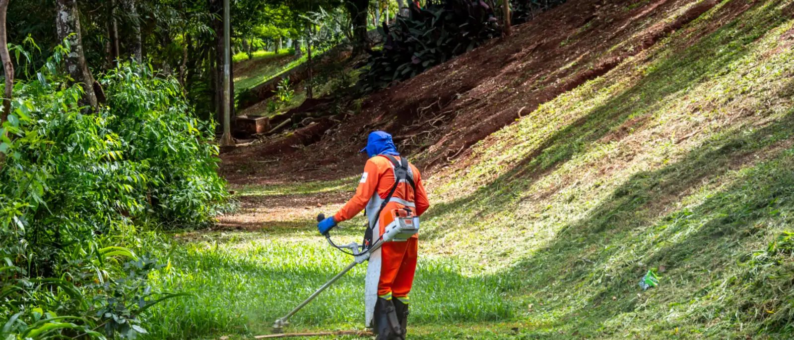 Desbroce y limpieza de fincas y parcelas en Pamplona