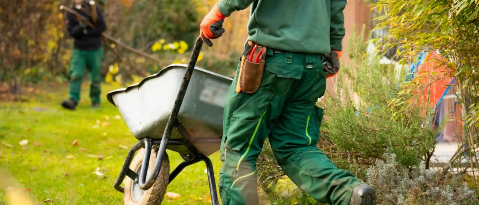 Mantenimiento de jardines y zonas verdes en Pamplona