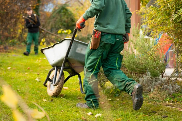 Mantenimiento de jardines en Pamplona